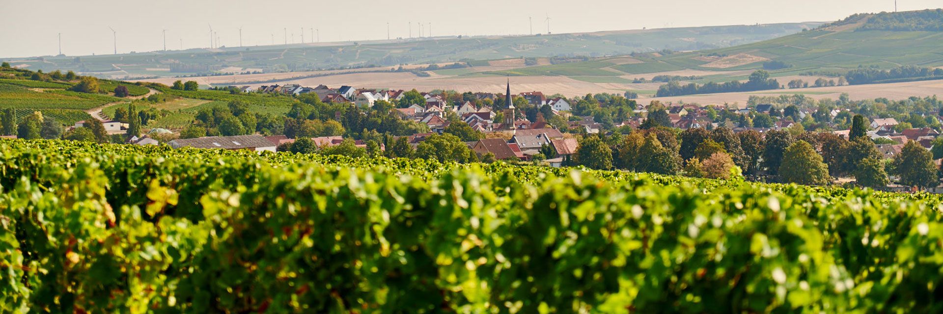 weinberg_slider2