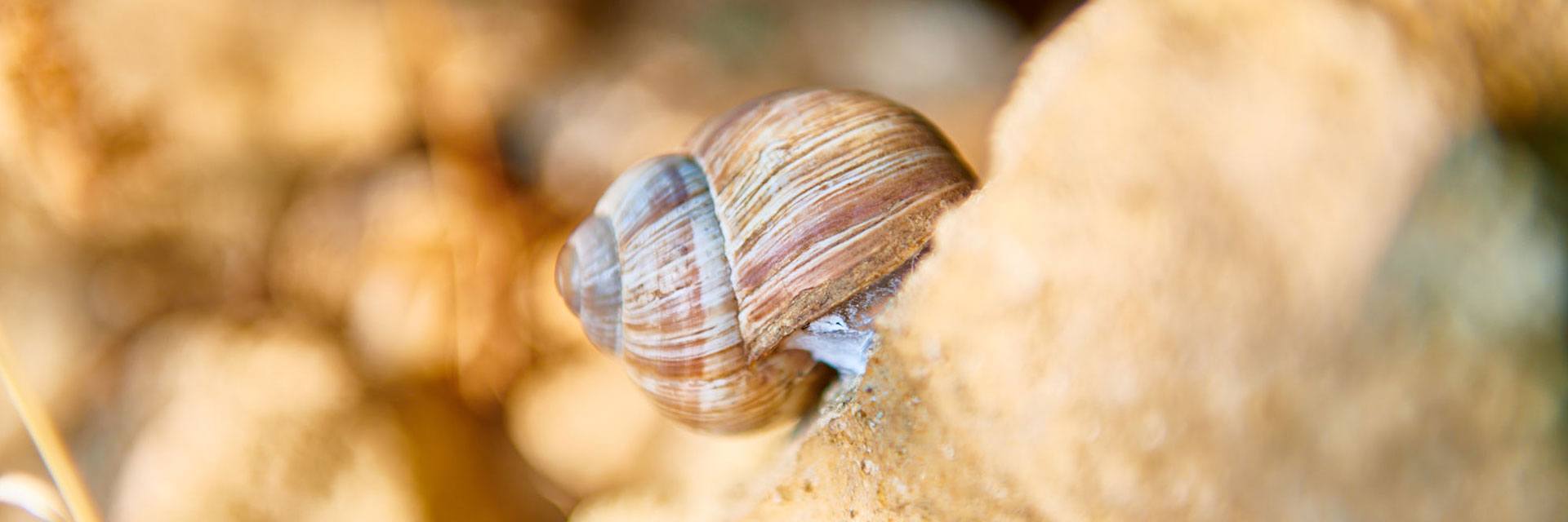 weinberg_slider3